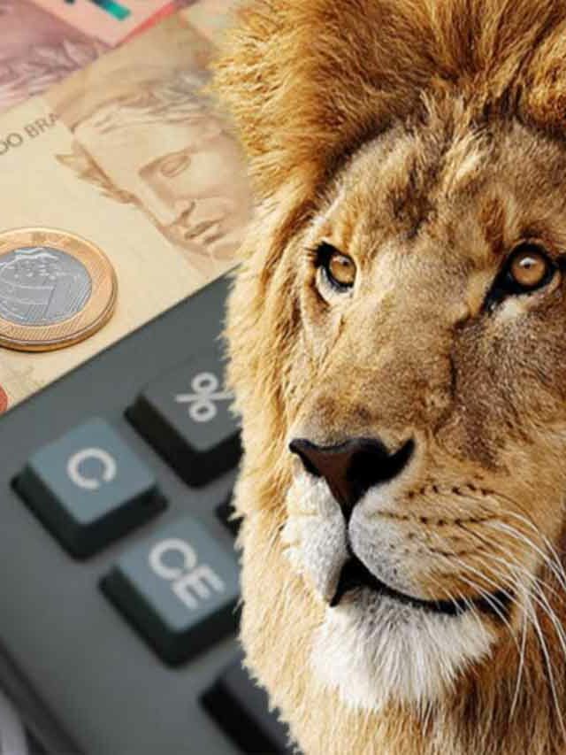 ALERTA: como declarar imposto de renda do MEI